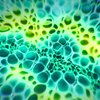 Microbioma