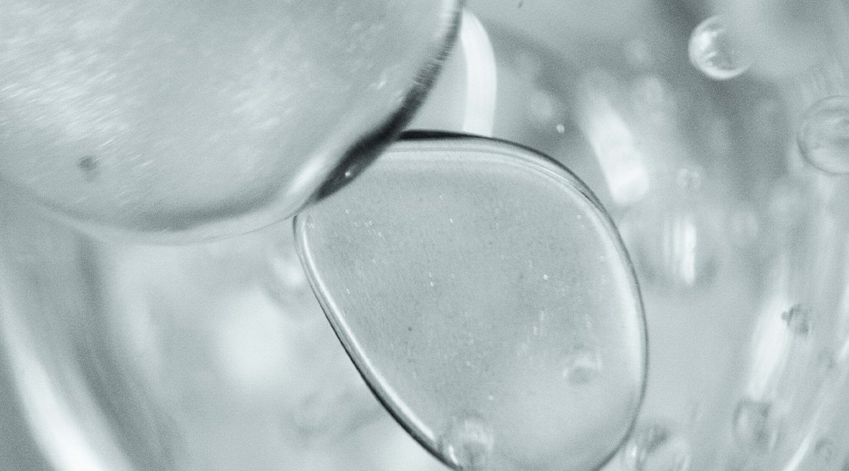 Fracciones probióticas